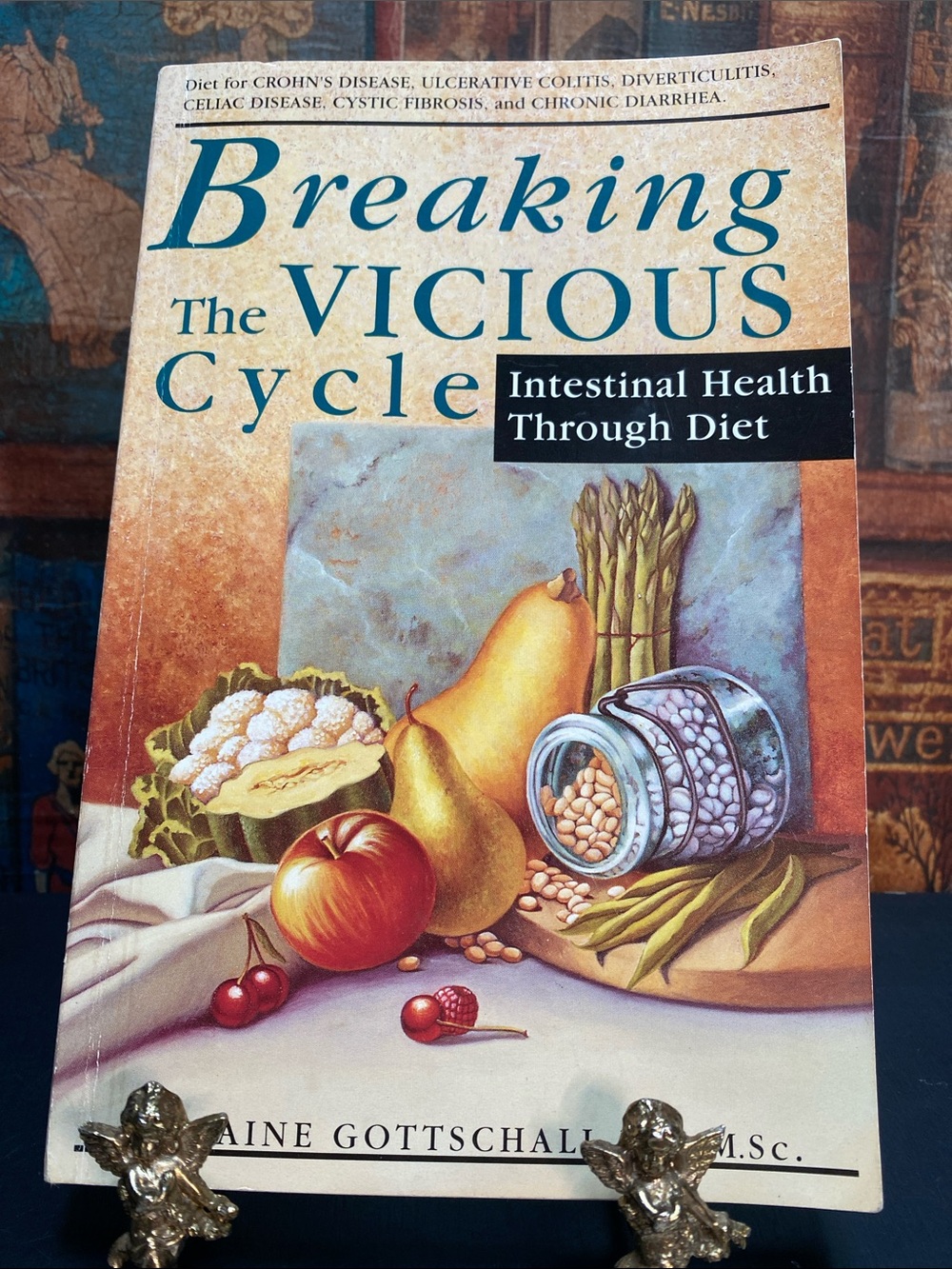 3📚/$25 Book - Breaking the Vicious Cycle by Elaine Gottshall